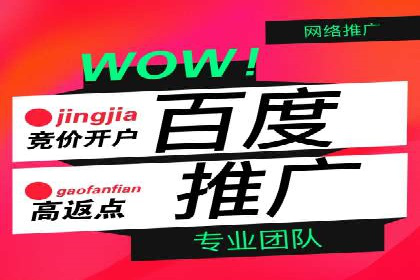 某企业通过SEM实现品牌与销售双增长的案例